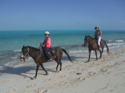 Horseback Riding at Long Bay Beach with Provo Ponies while travelling in Turks and Caicos