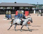 Tyron International Equestrian Center, North Carolina